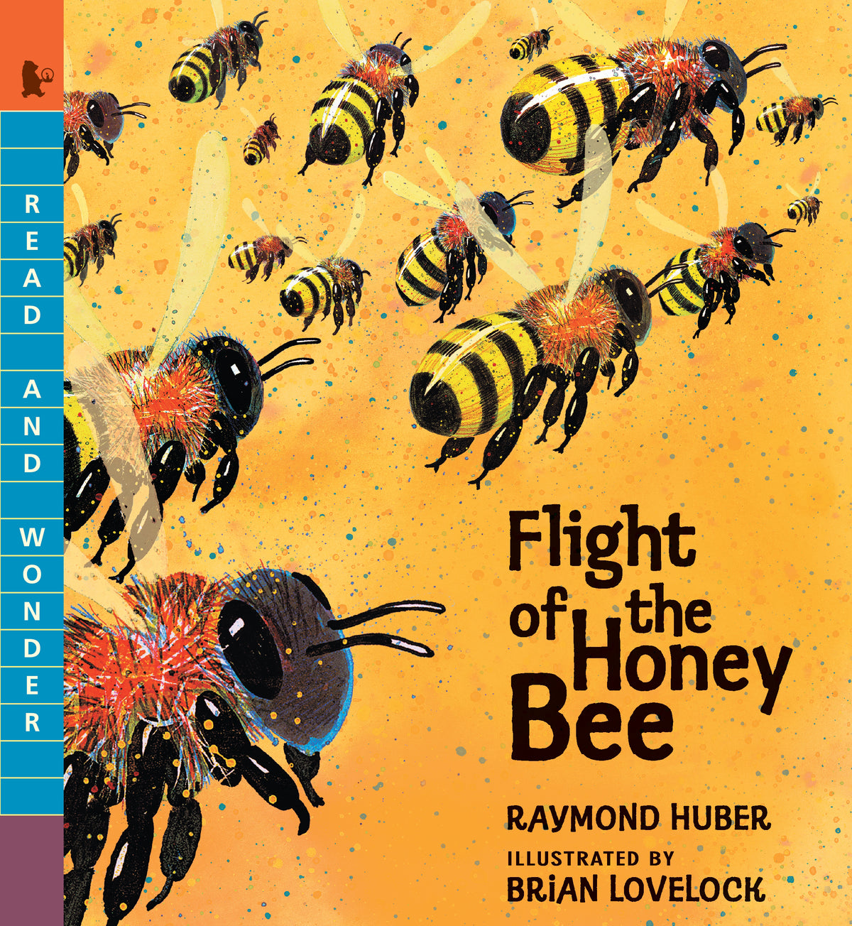 Ivy Kids Kit - Flight of the Honey Bee