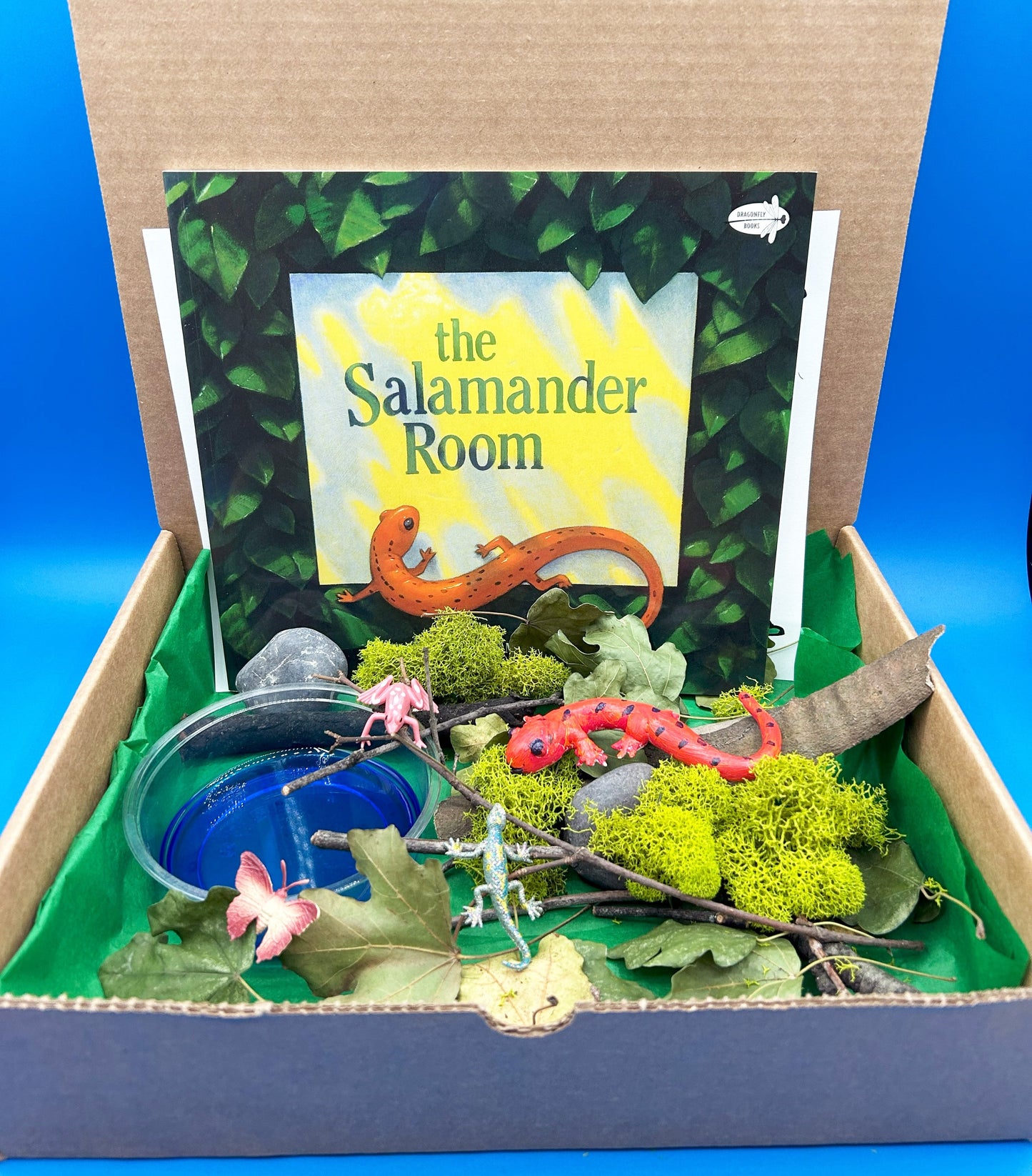 Salamander Habitat Science Kids Activity 