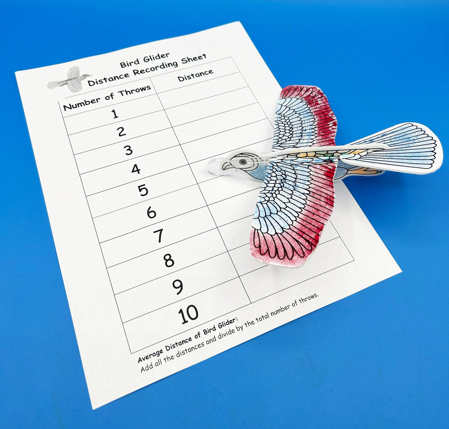 DIY Bird Glider Activity