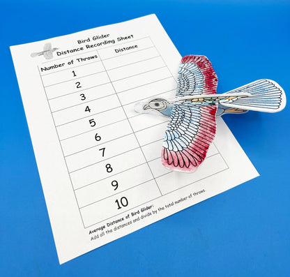 DIY Bird Glider Activity