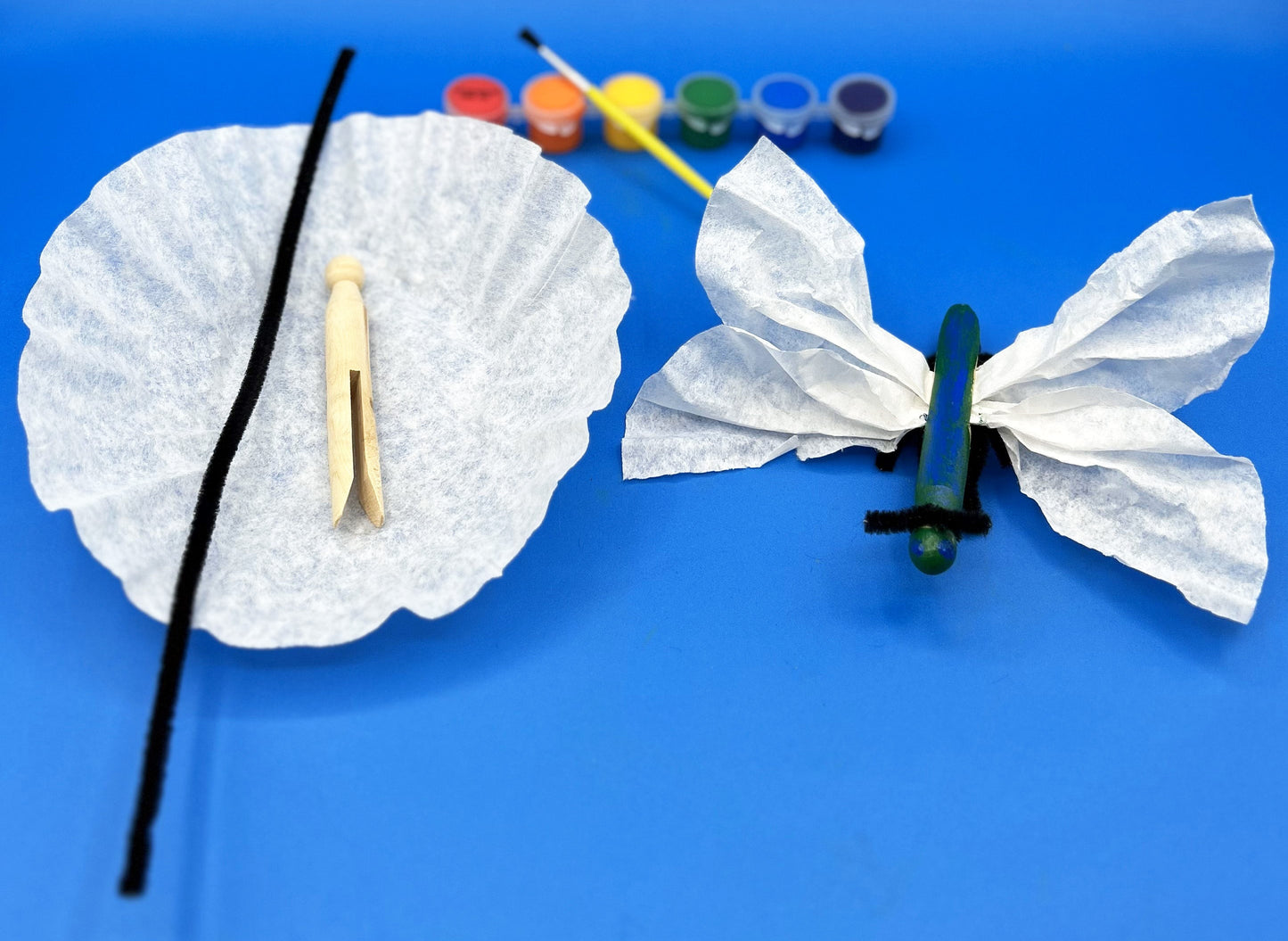 Dragonfly craft