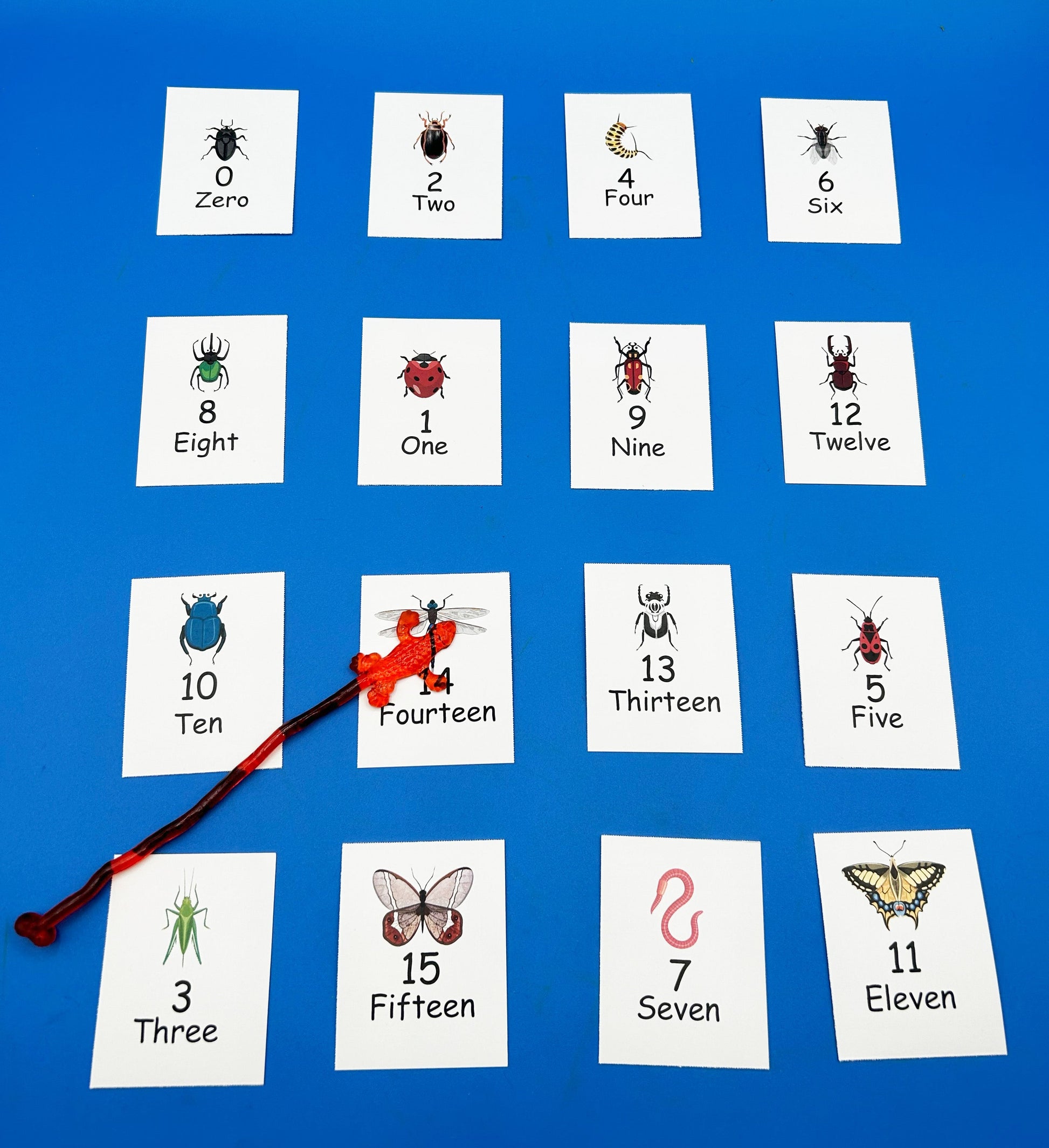 Salamander Catch Math Game