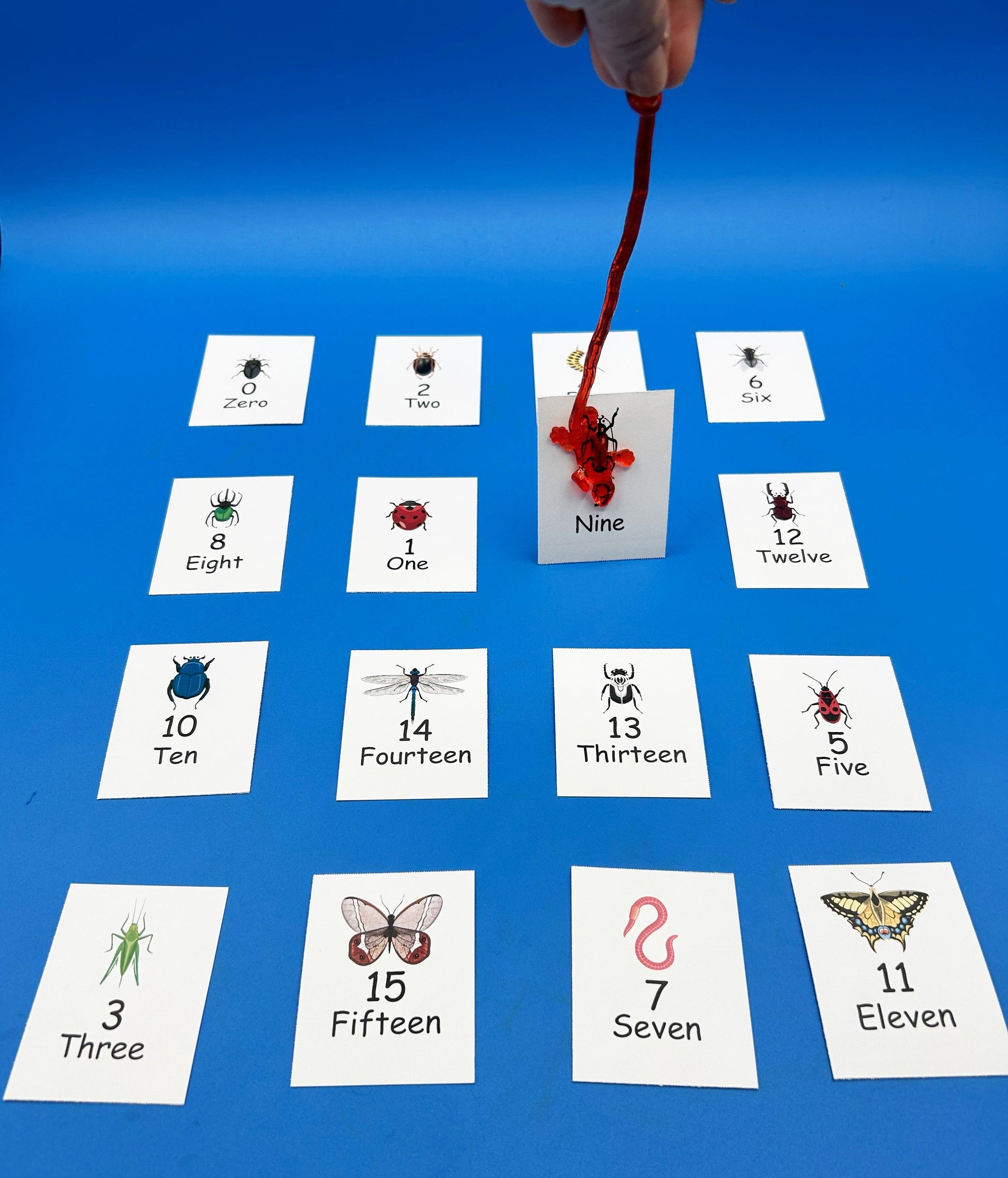 Salamander Catch Math Game