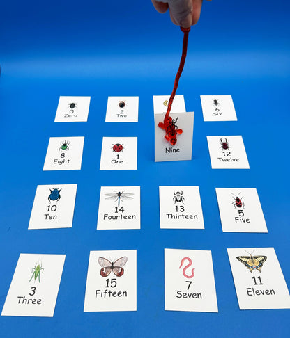 Salamander Catch Math Game