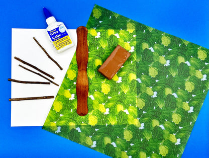 Construct a Rainforest tree