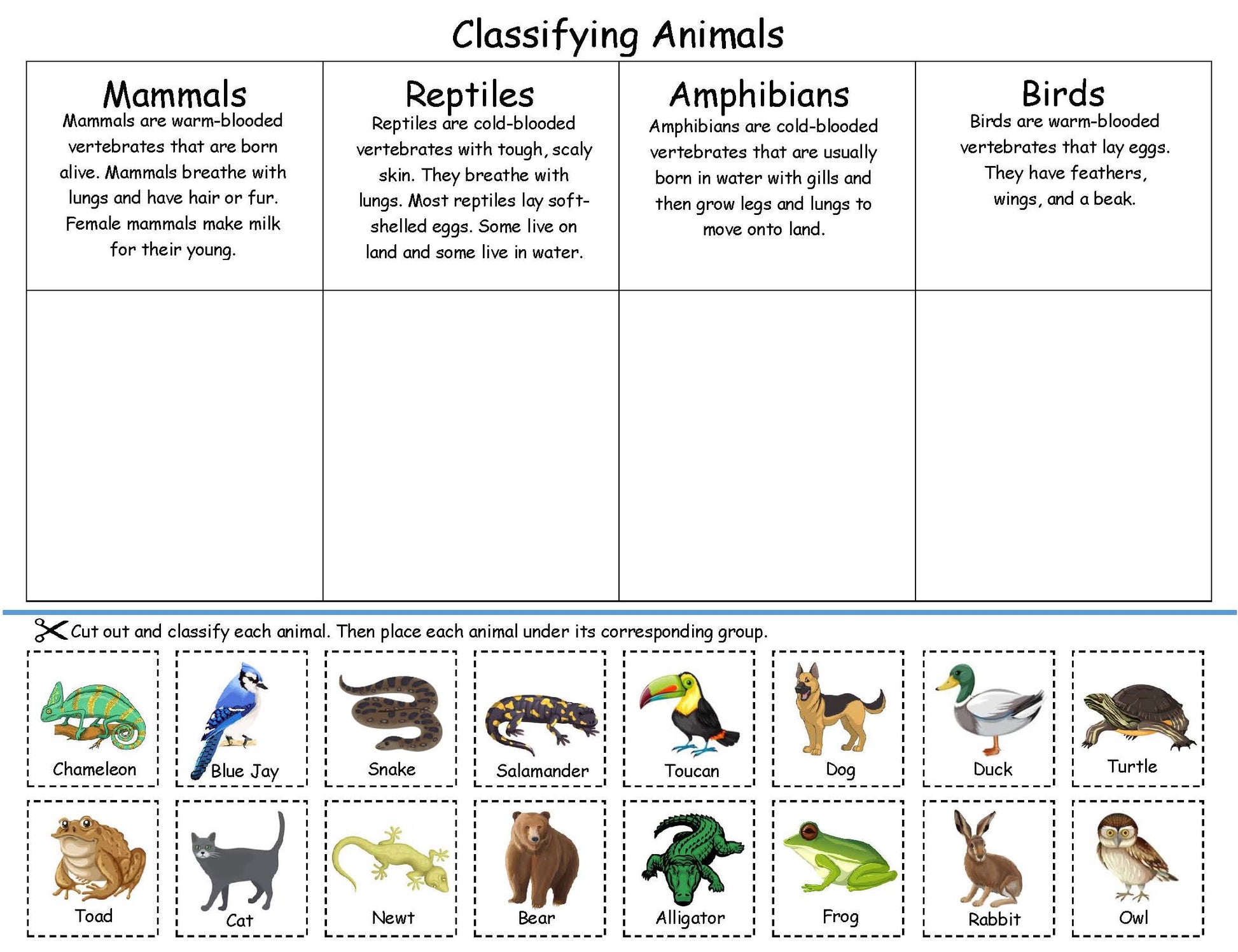 Classifying Animals Board Game