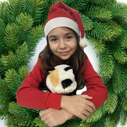 Holiday Mini Kit with Book, Plush, ornaments, and crafts