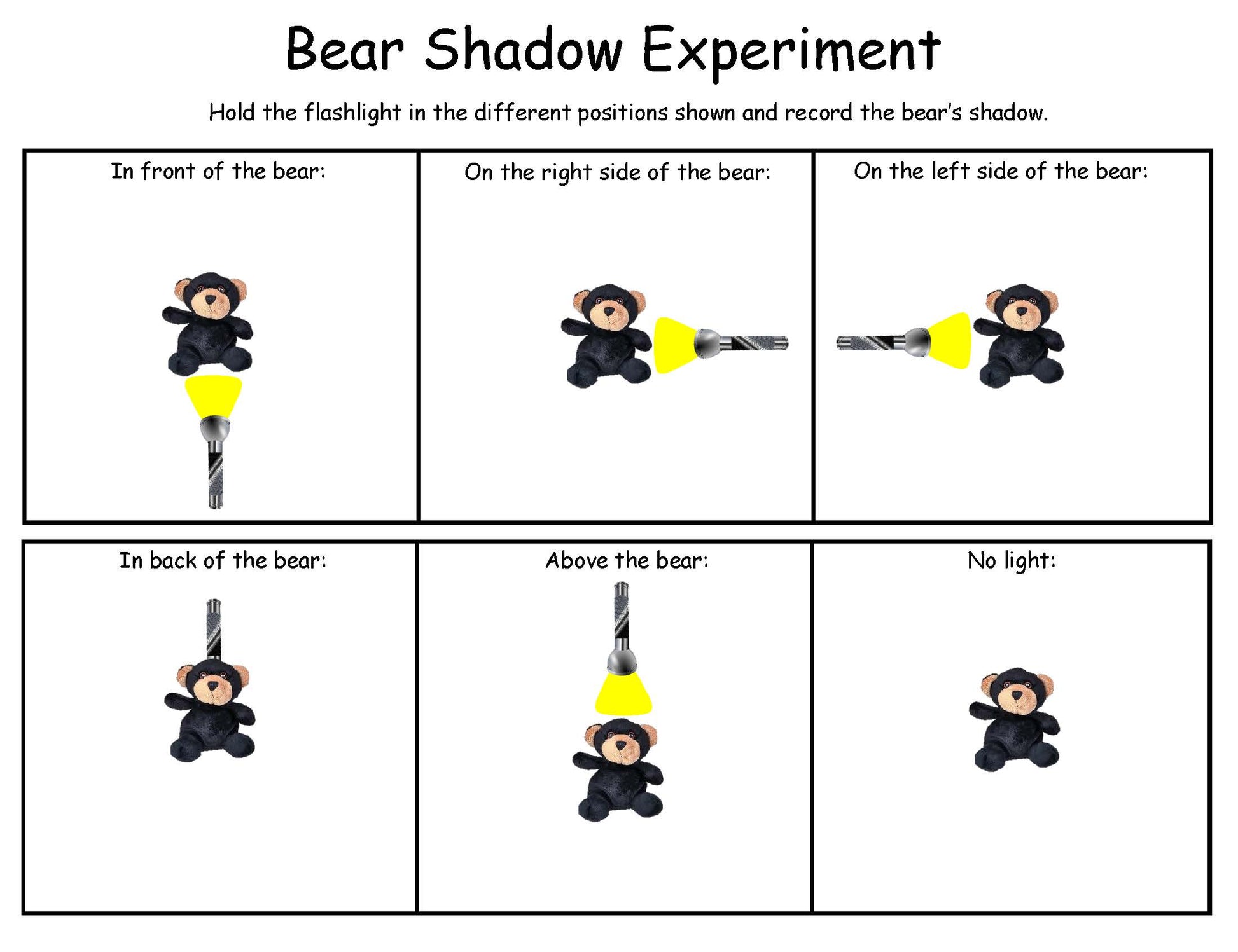 bear shadow experiment for kids