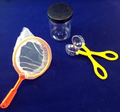 Science Activity - Catch Fireflies Inspired by The Very Lonely Firefly by Eric Carle