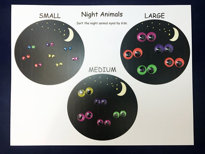 Sorting Math Activity