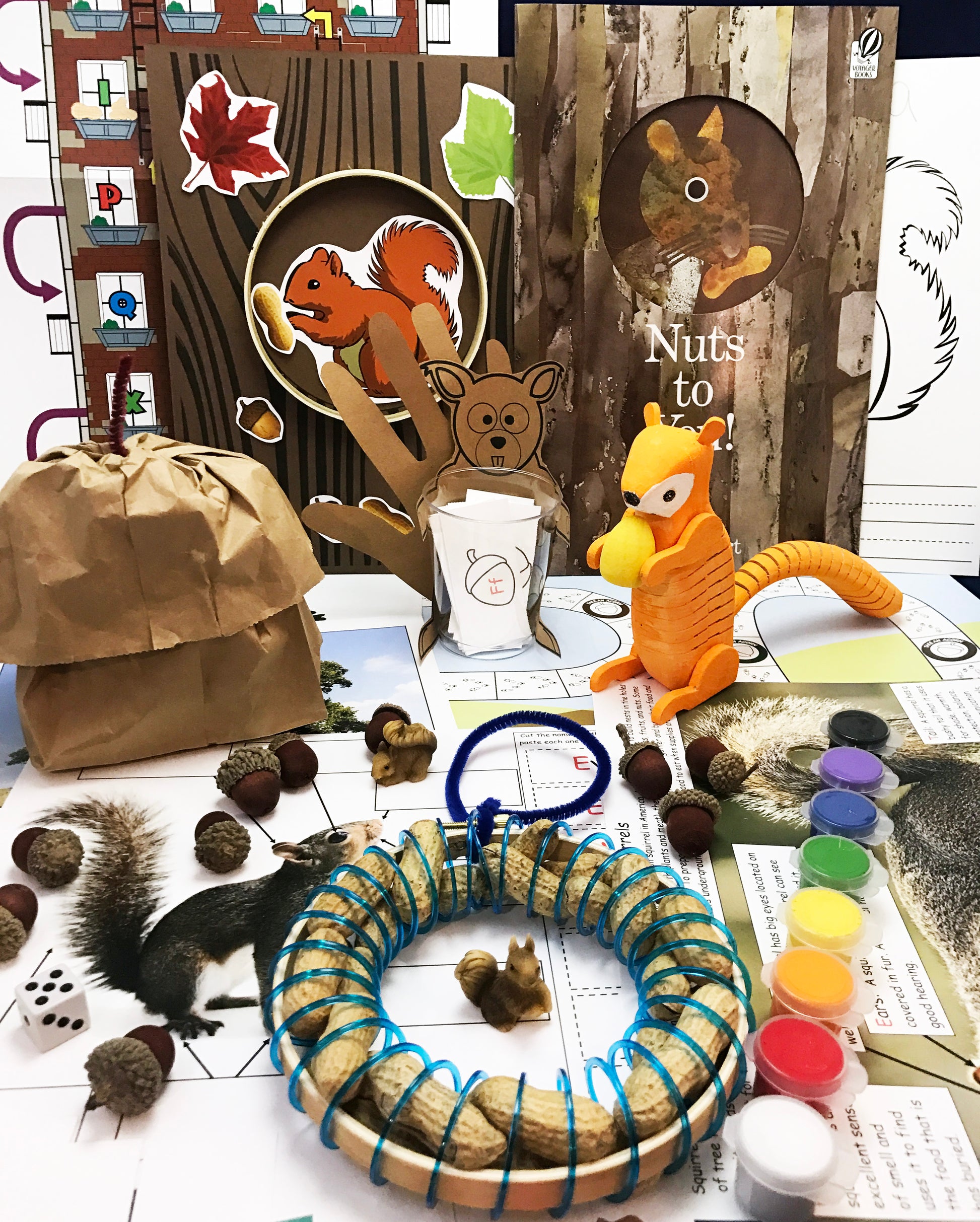 STEAM Activities inspired by the Autumn book Nuts to You. 