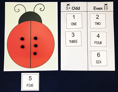 Ivy Kids Kit - Are you a Ladybug?