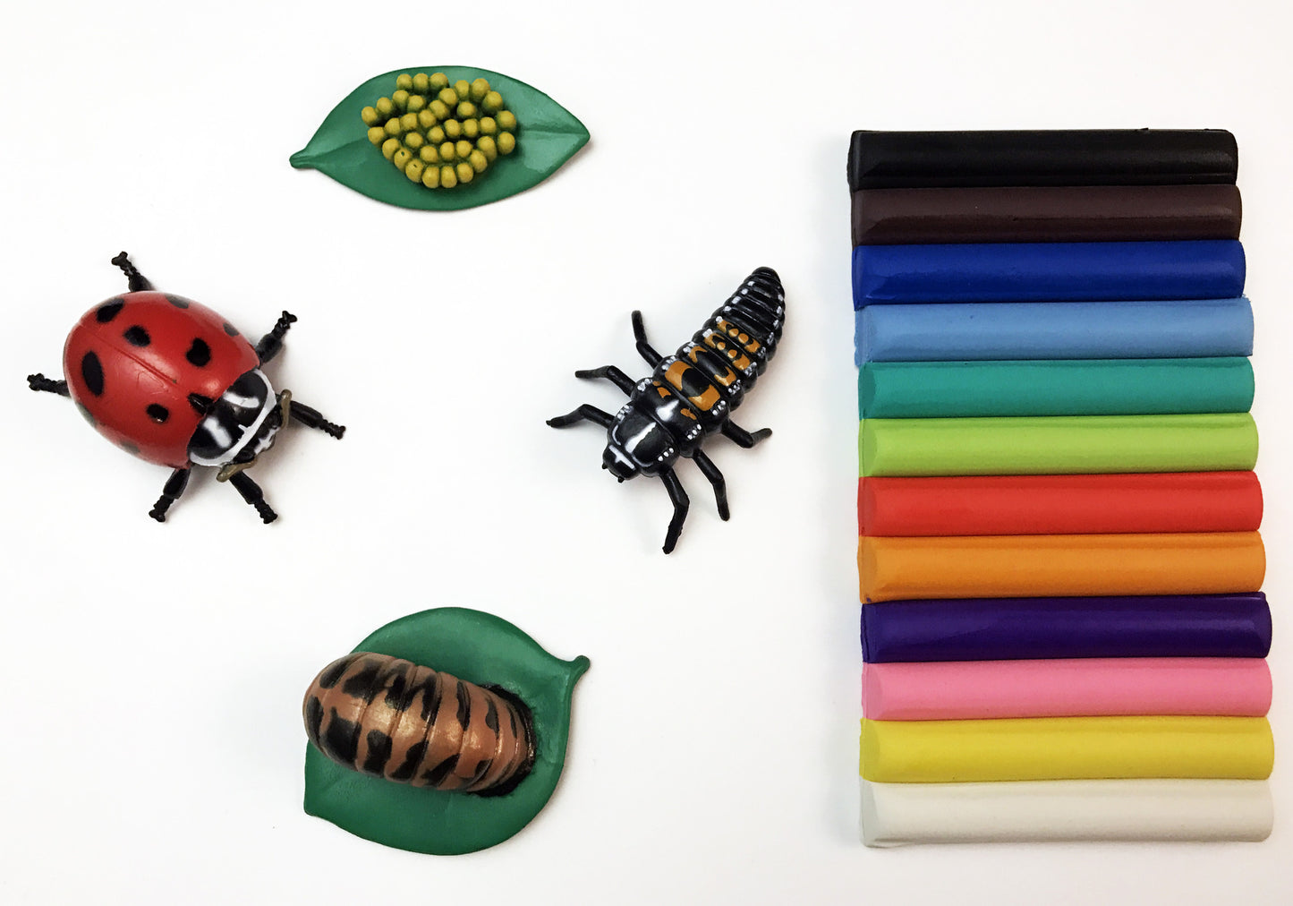 Ivy Kids Kit - Are you a Ladybug?
