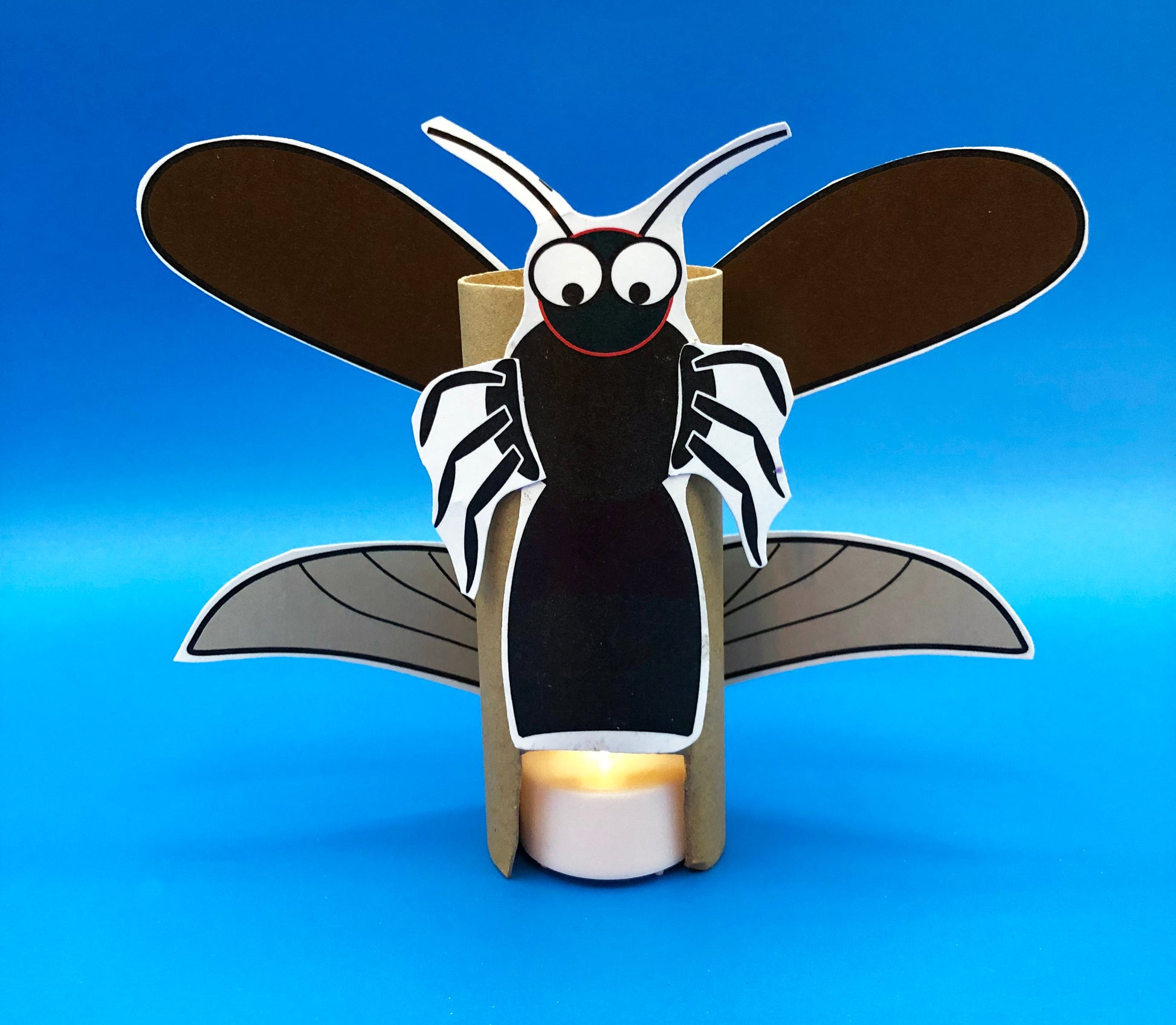 Firefly craft STEM