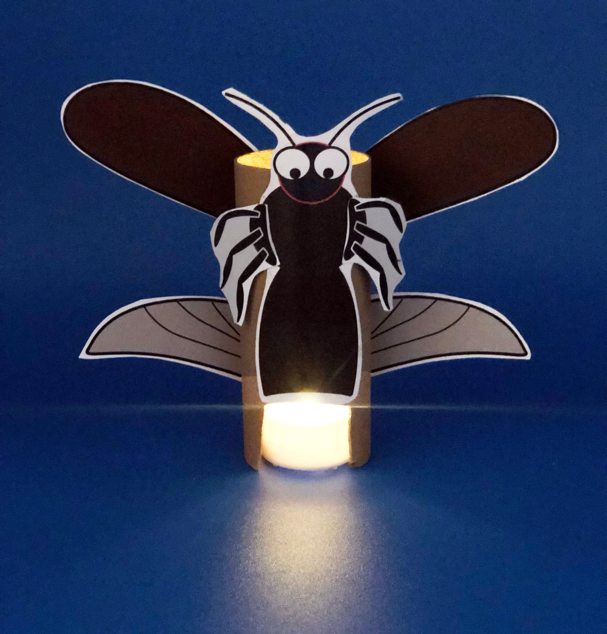 Firefly craft STEM