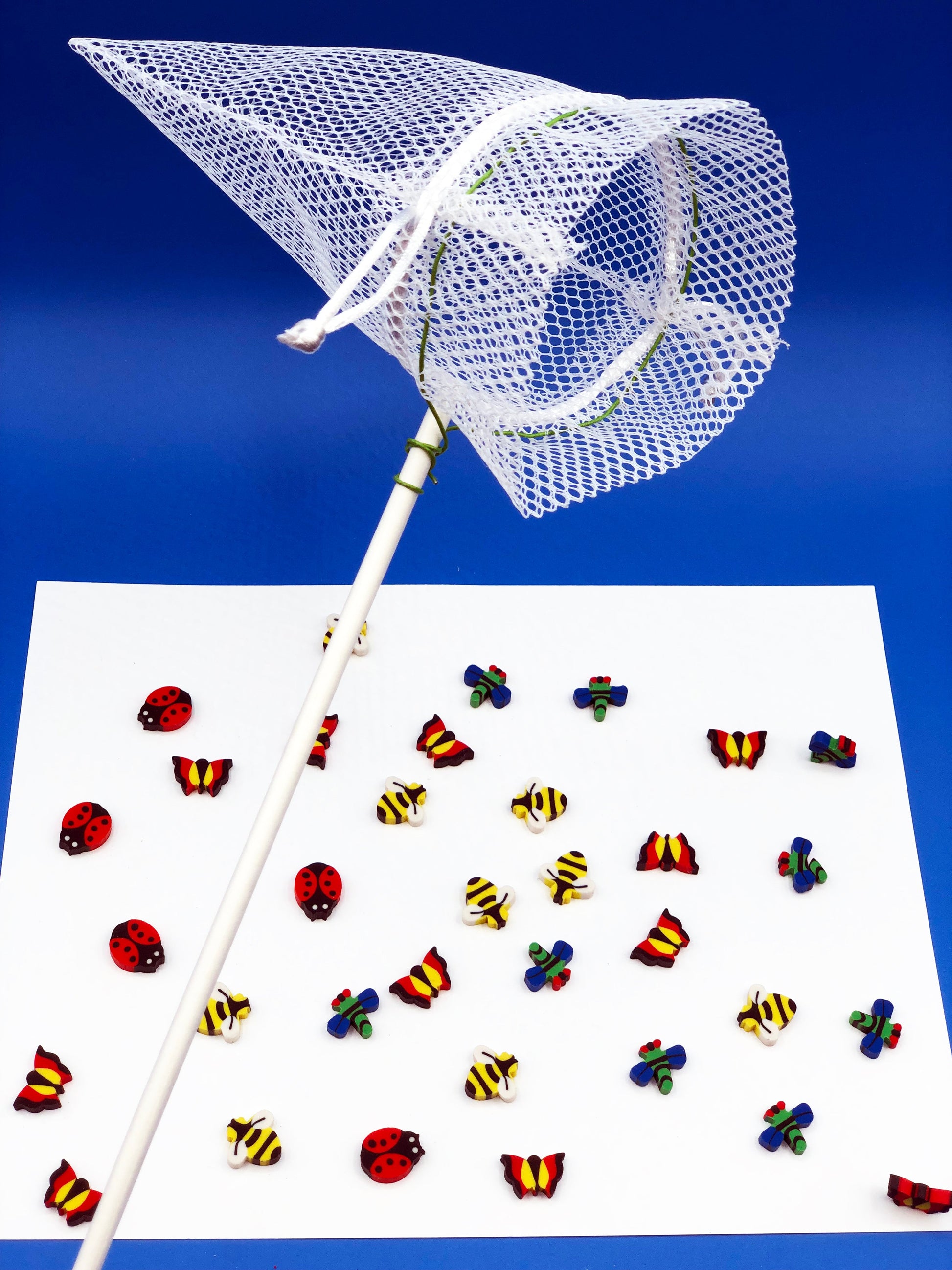 bug net