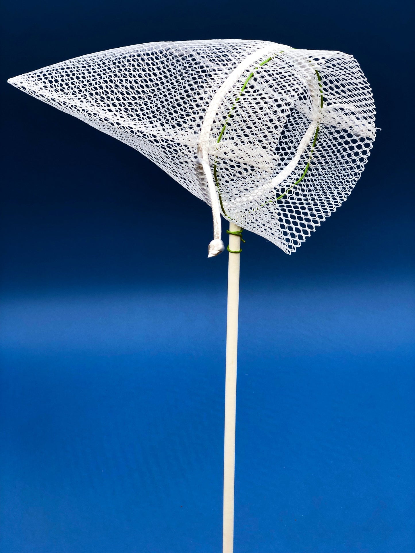 DIY bug net