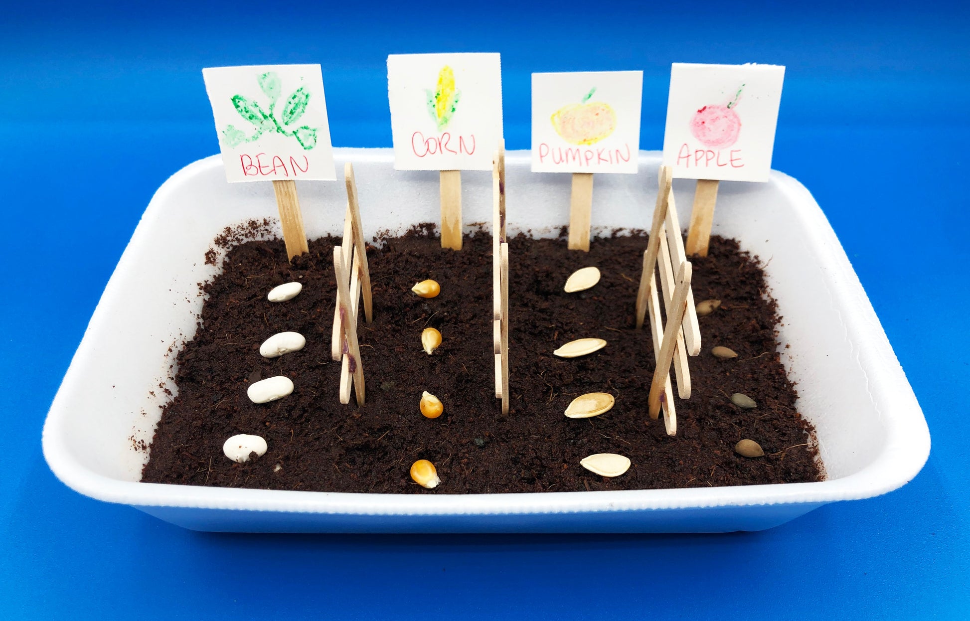 planting crops with kids