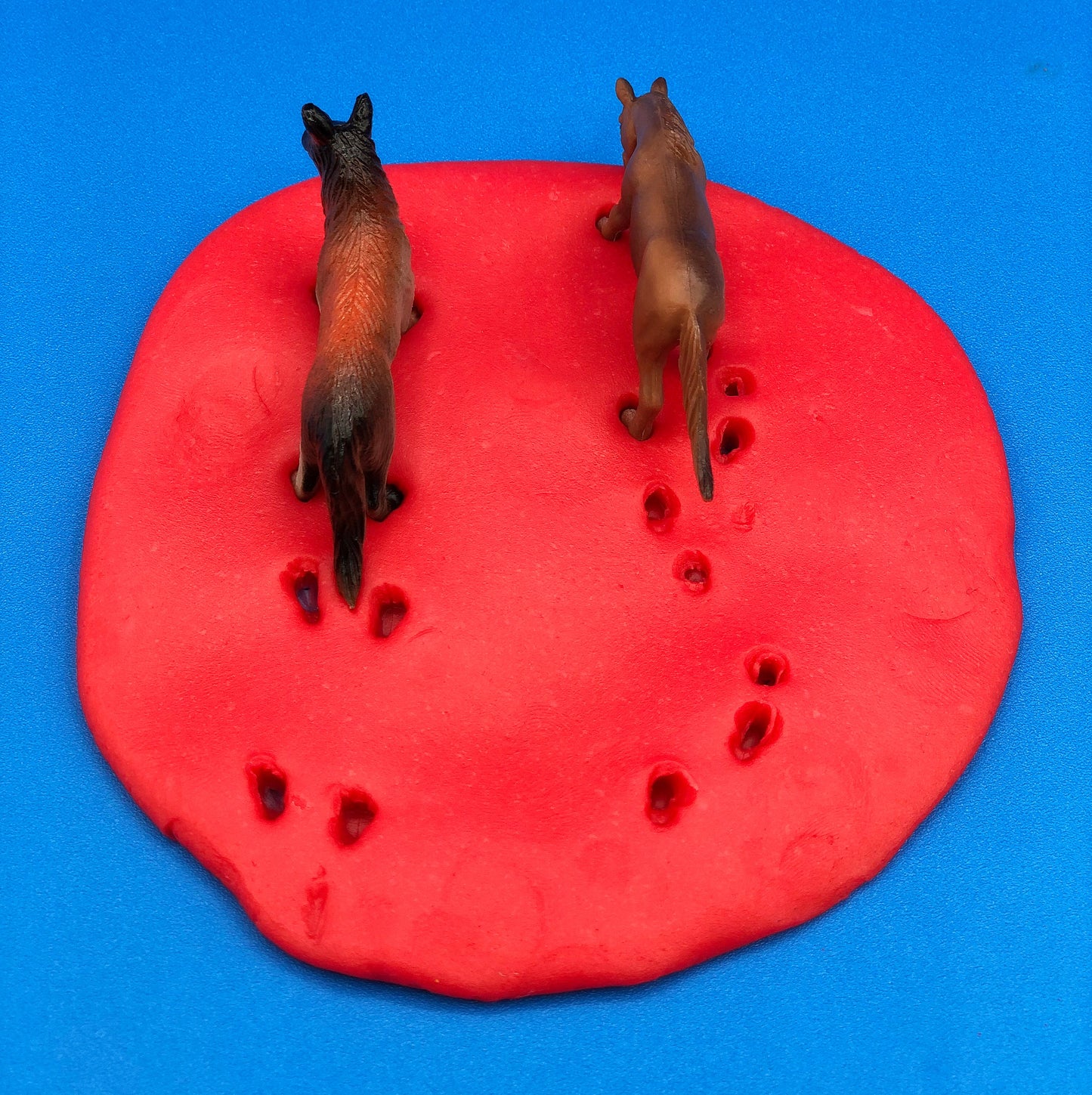 animal tracks in playdough