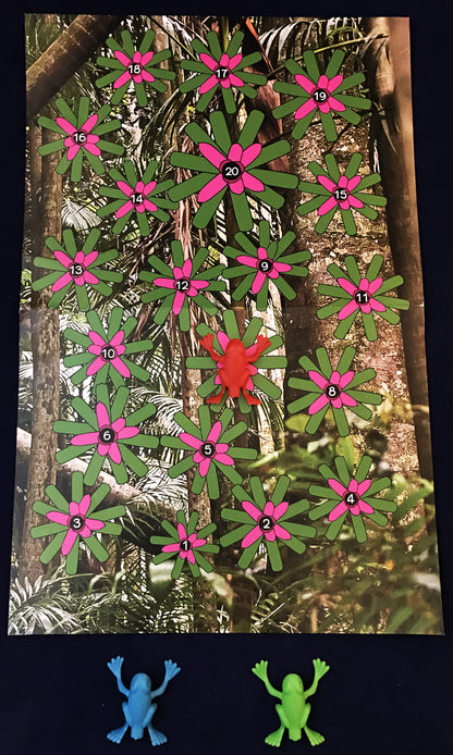 Ivy Kids kit - The Rainforest Grew All Around