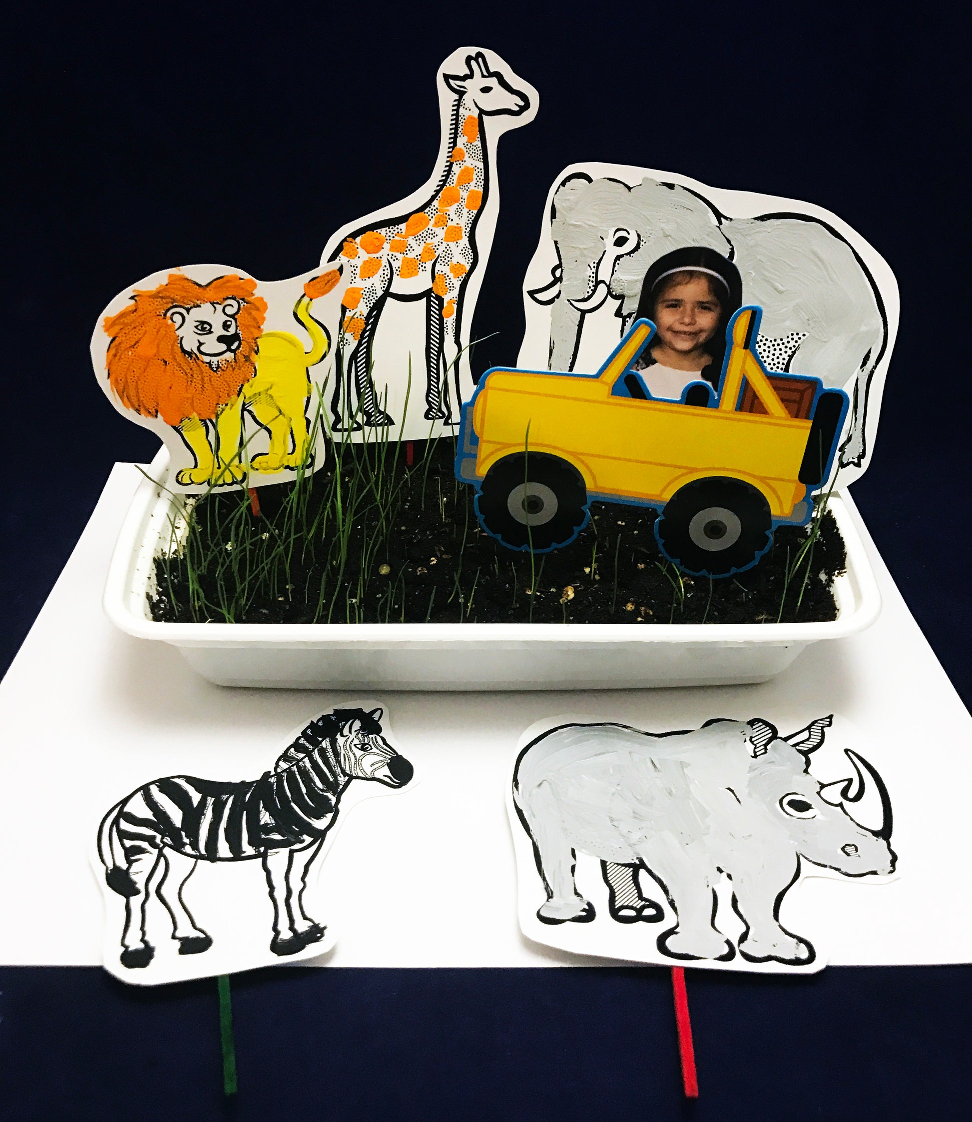Grow your own grassland African Savanna science project 