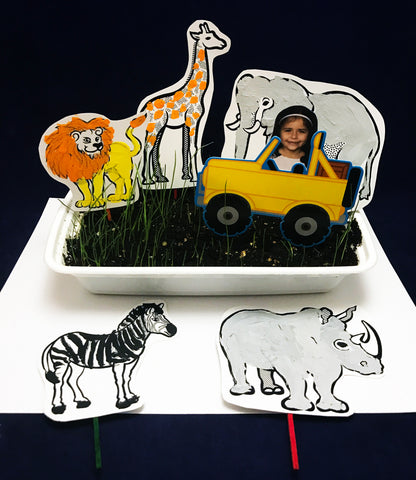 Grow your own grassland African Savanna science project 