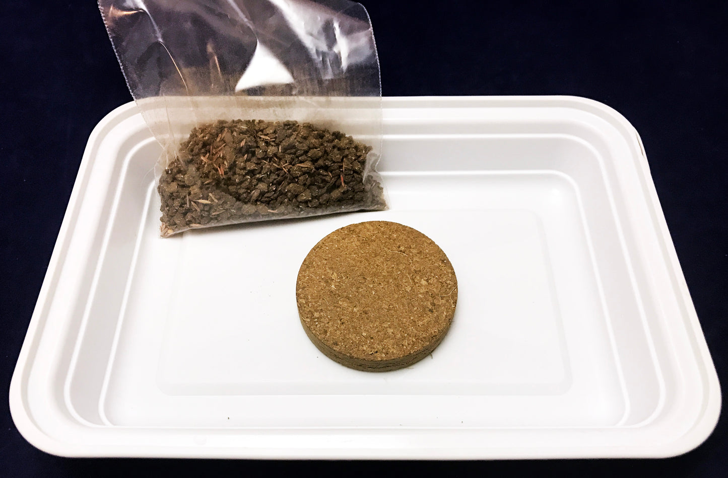 Grow your own grassland African Savanna science project 