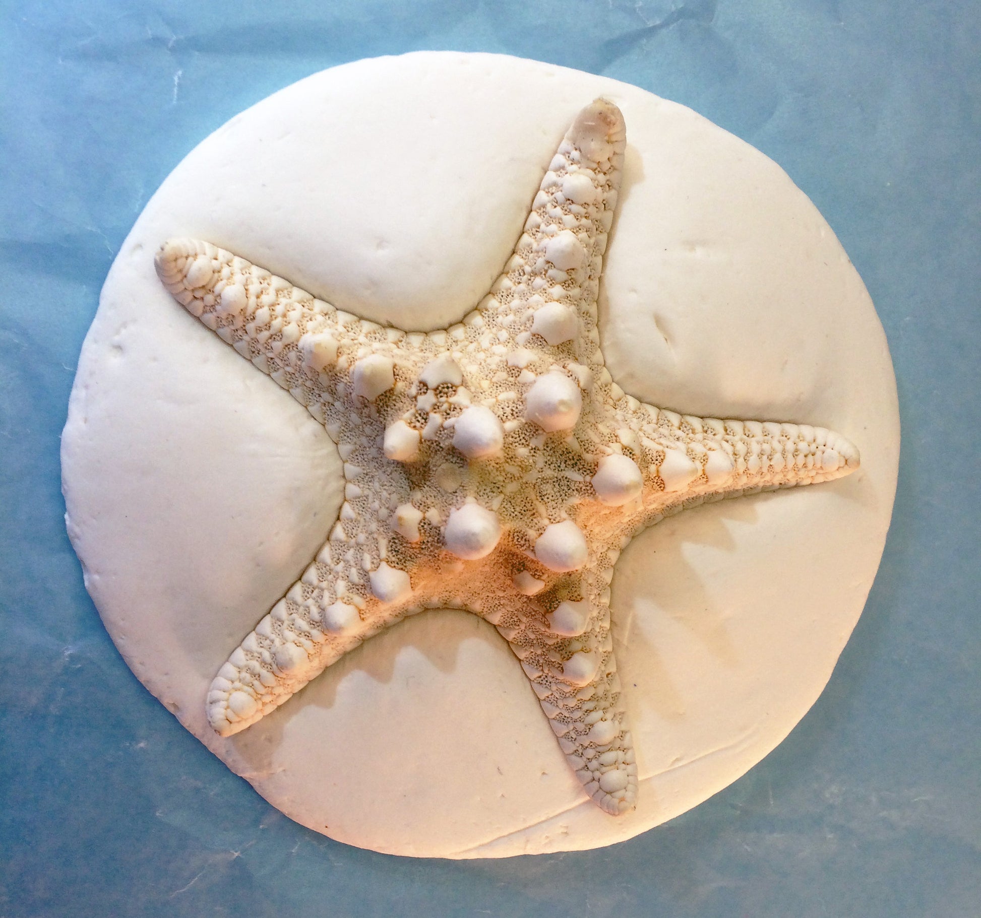 Science and art activity inspired by the book Over in an Ocean in a Coral Reef. Use sea creatures, starfish, and seashells to make clay imprints