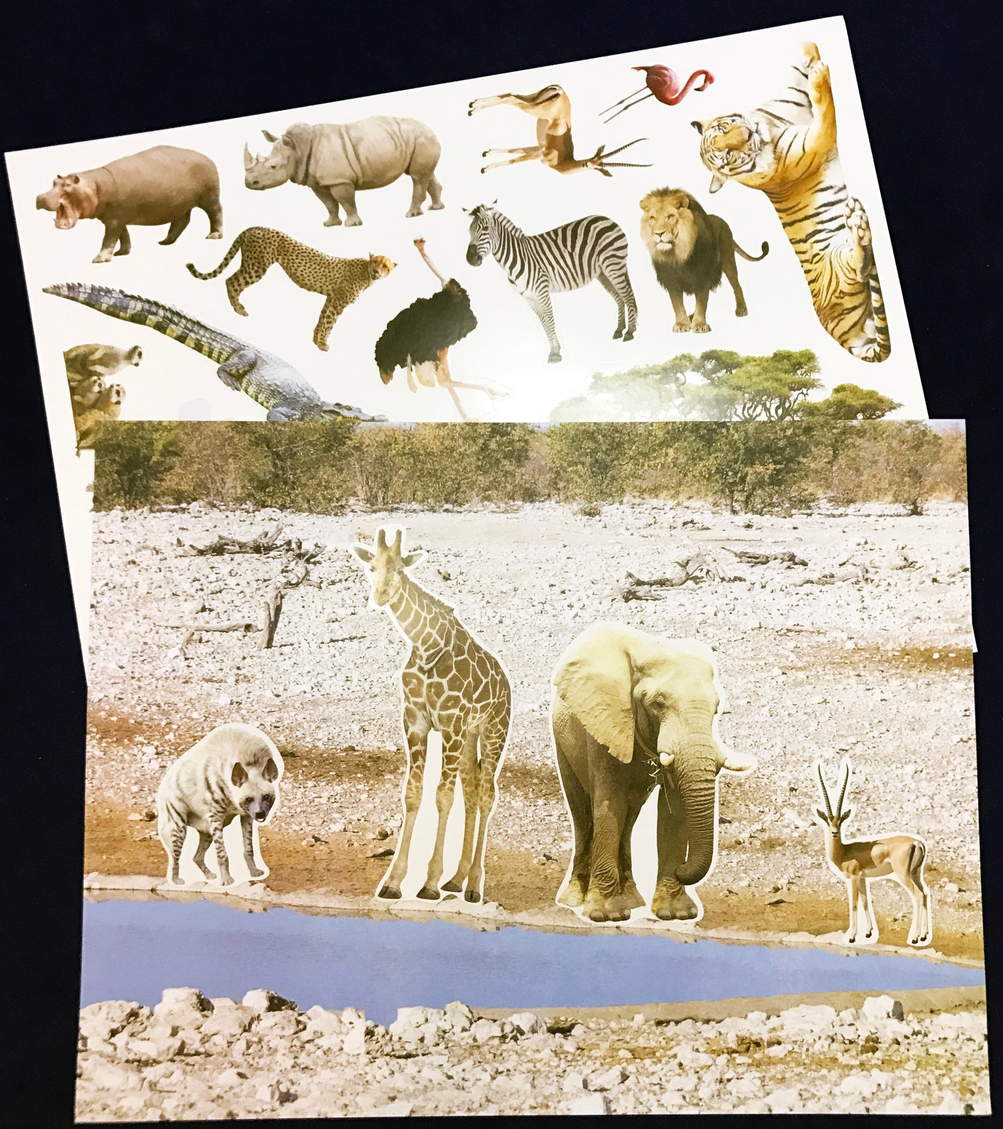 Ivy Kids kit - Let's Explore...Safari