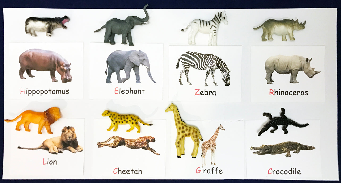 Animal matching game