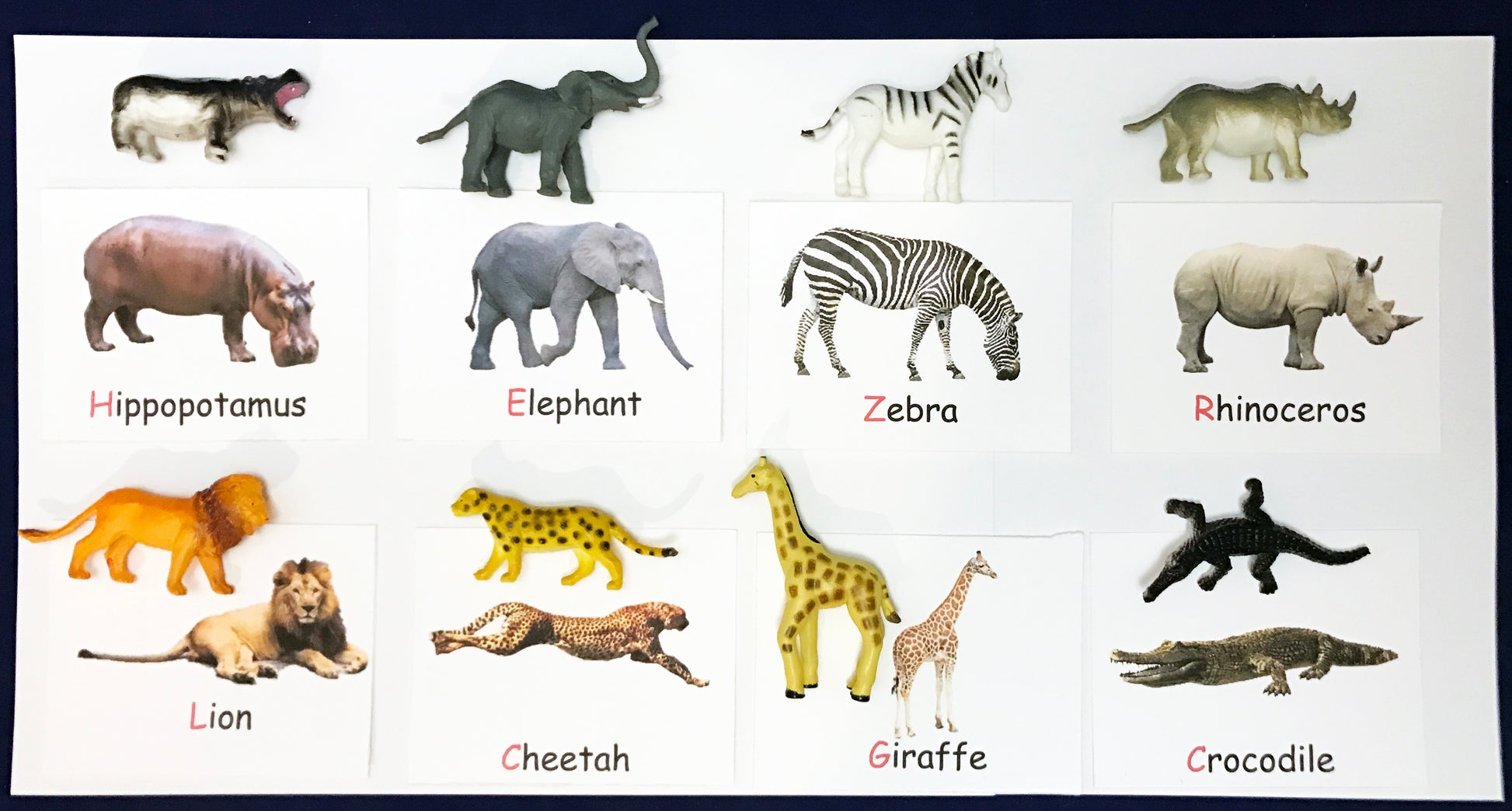 Animal matching game