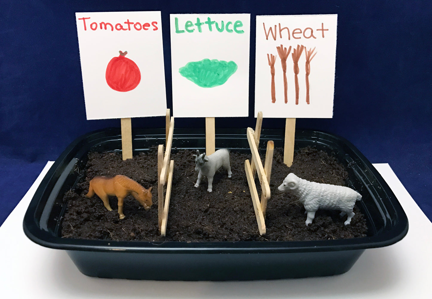 Plant your own crops science activity Farm theme kids