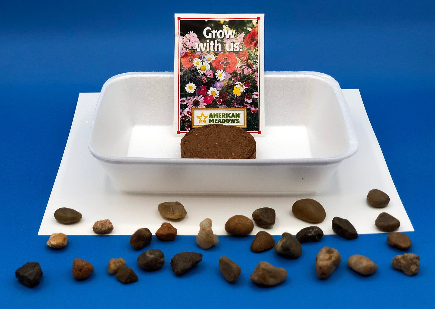 Rock Garden Kids Activity 