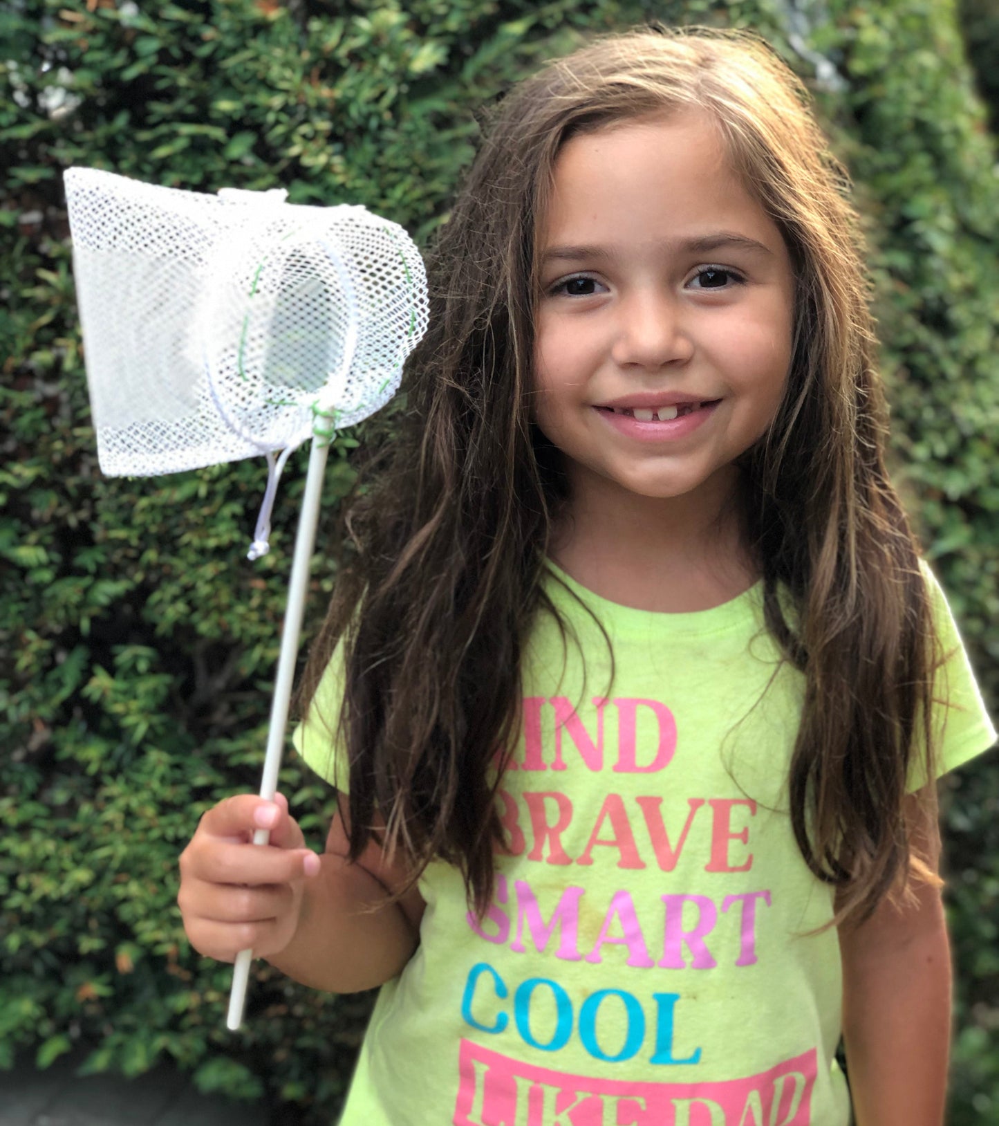 DIY bug net
