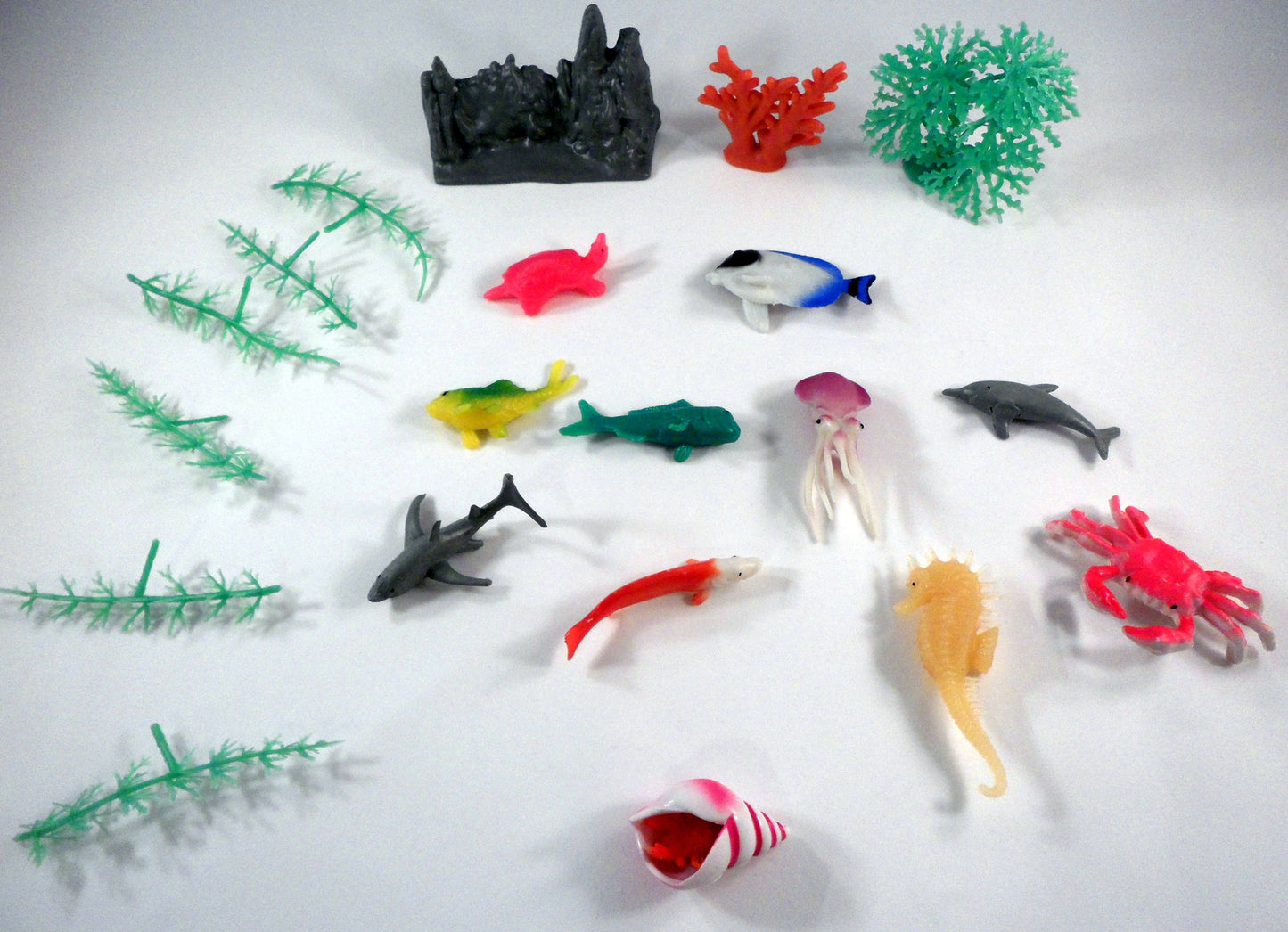 Sea animals and plants -A House for Hermit Crab - Ivy Kids subscription box activities.