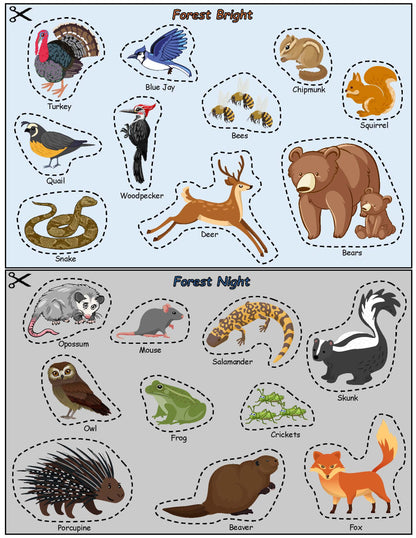 Ivy Kids Kit - Forest Bright Forest Night