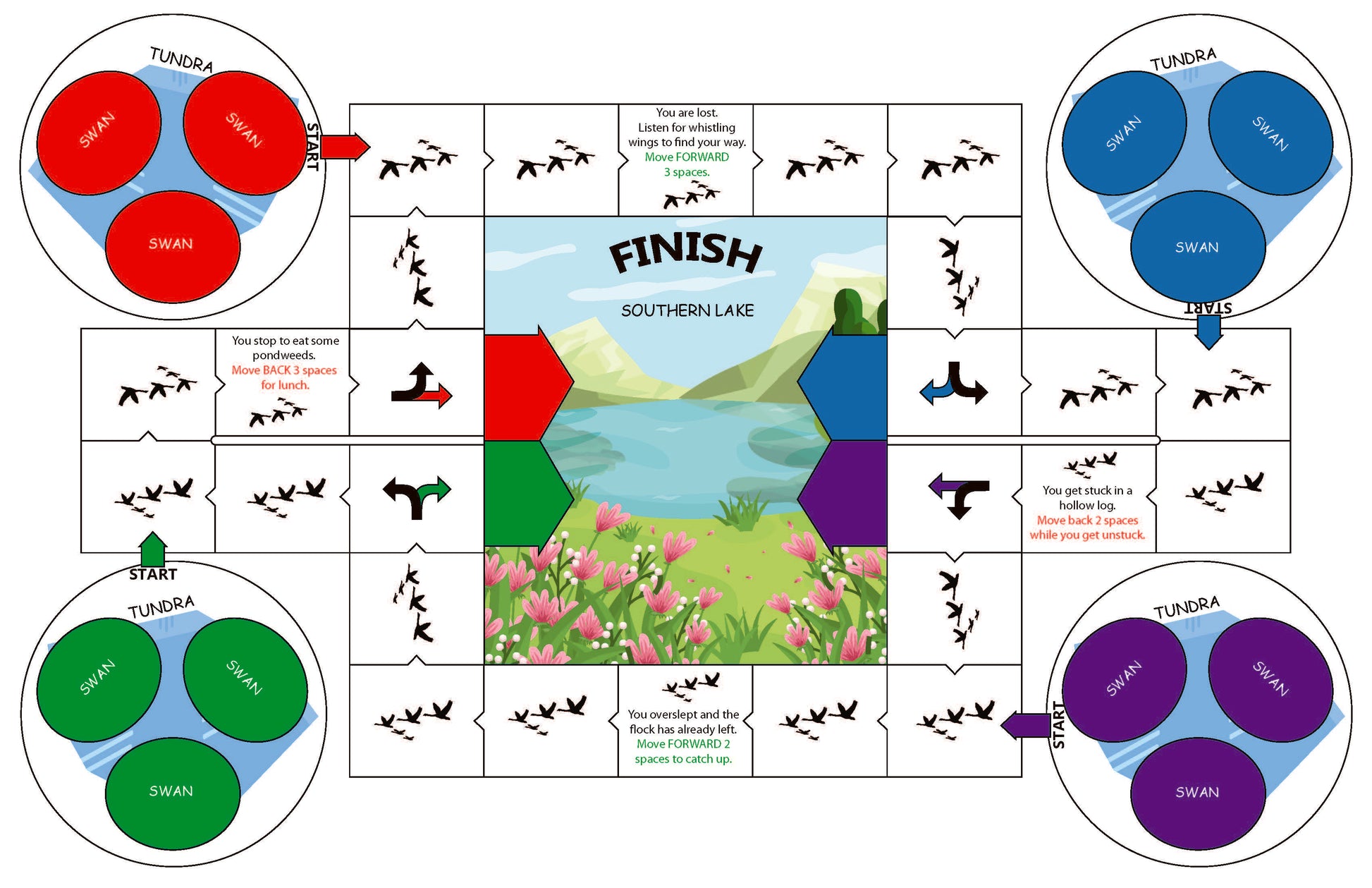 Swan migration board game