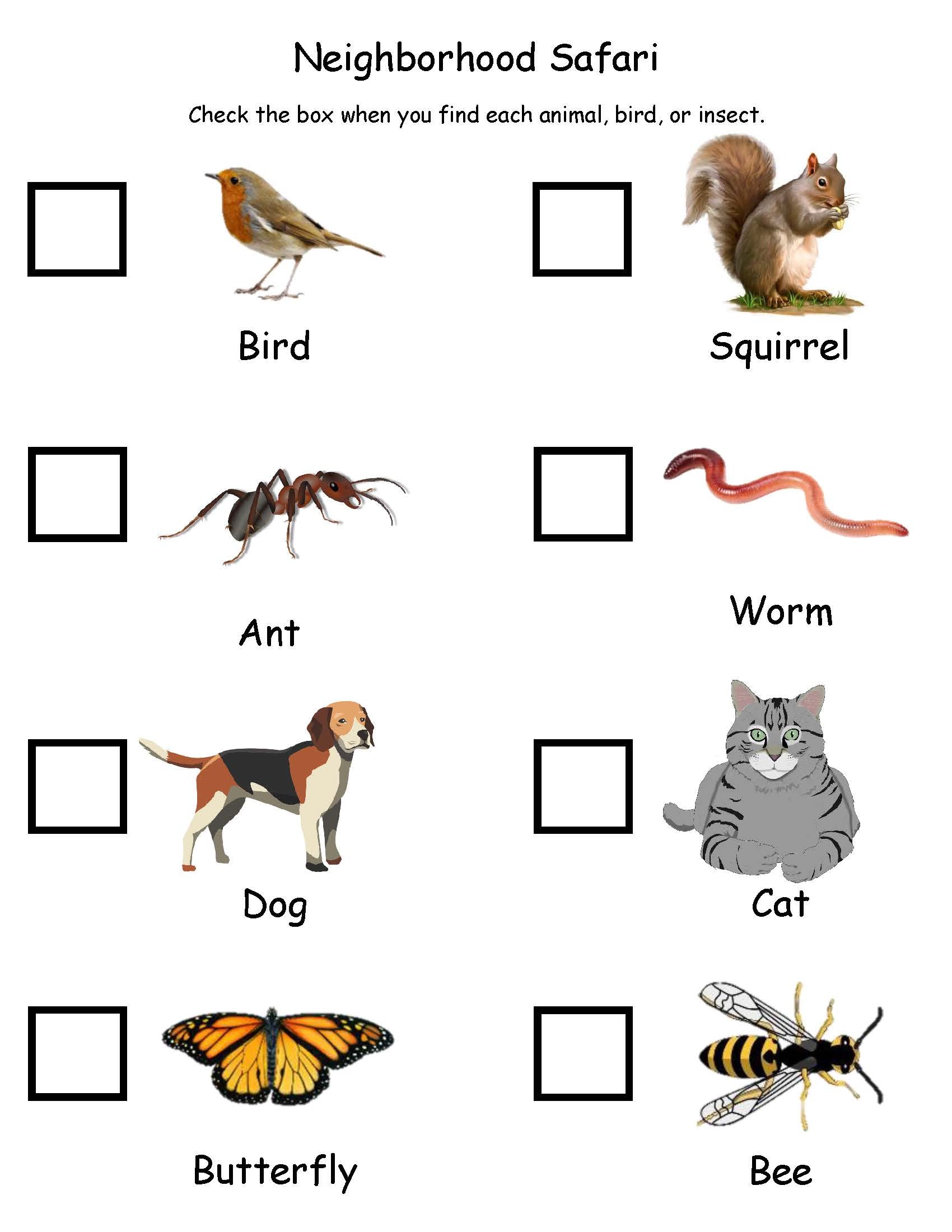 safari hunt check list for kids